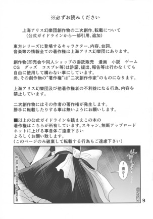 ふたなり妹様の愛玩人形 Page #2