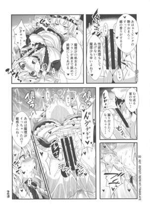 ふたなり妹様の愛玩人形 Page #22