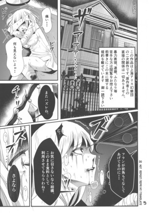 ふたなり妹様の愛玩人形 - Page 4