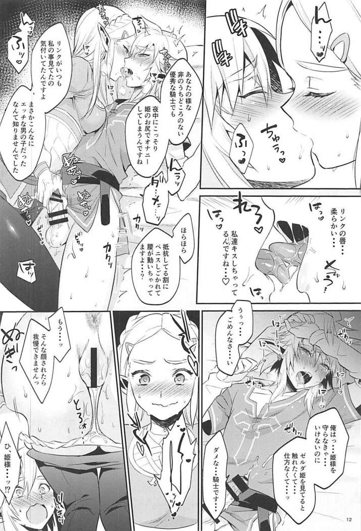 Hyrule Hanei no Tame no Katsudou!