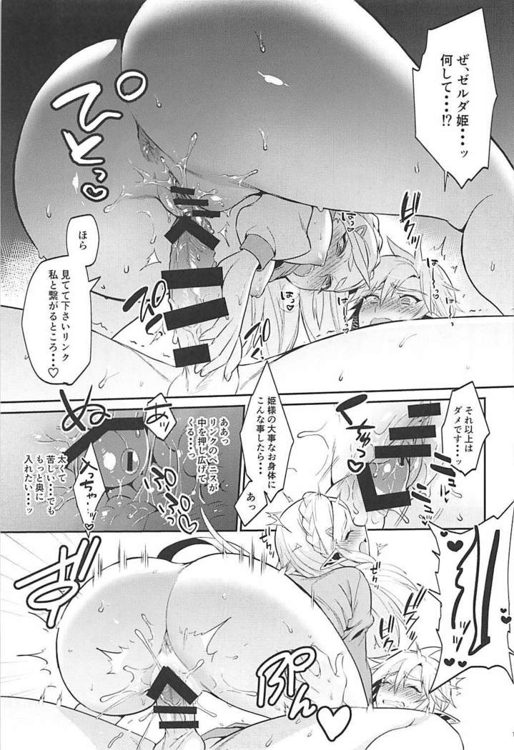Hyrule Hanei no Tame no Katsudou!