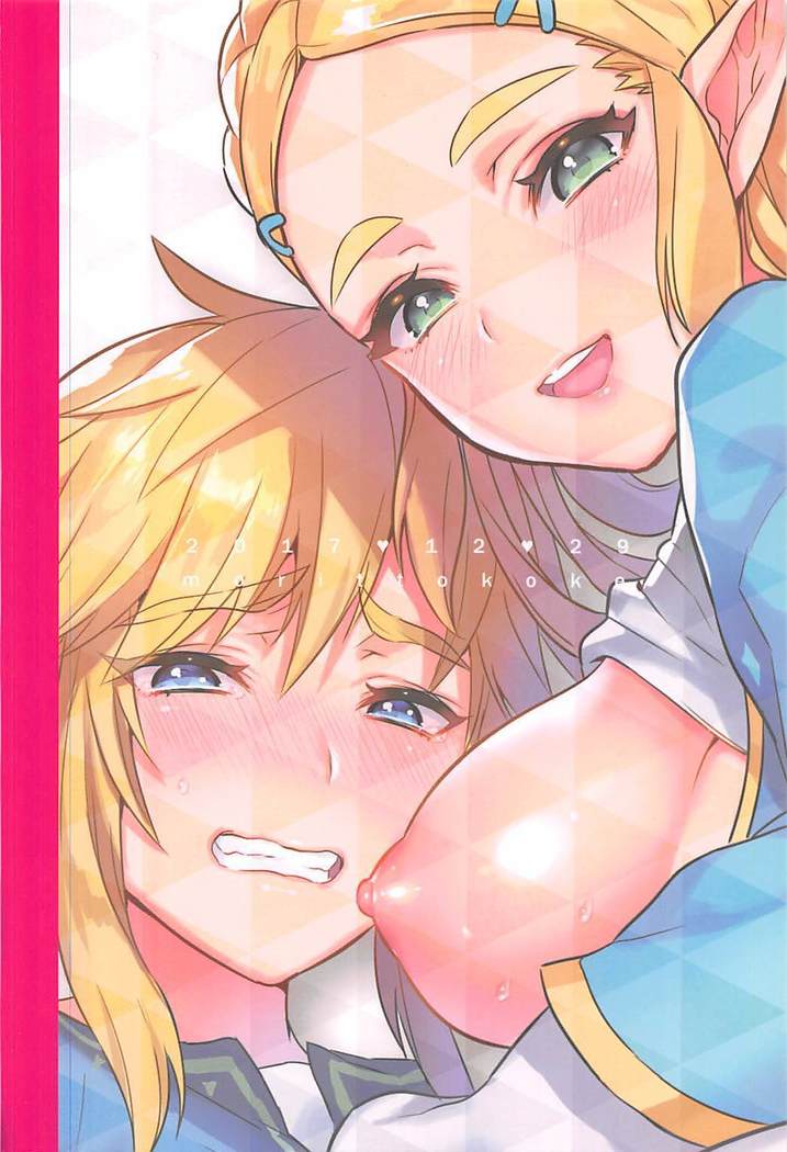 Hyrule Hanei no Tame no Katsudou!