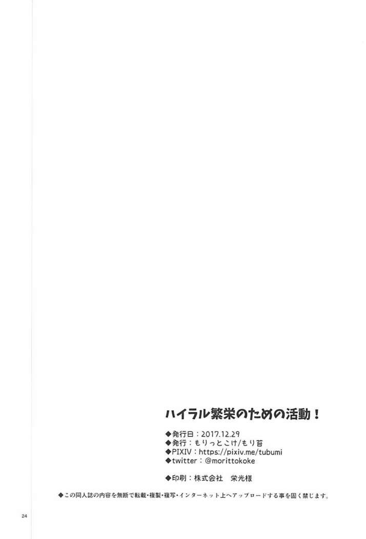 Hyrule Hanei no Tame no Katsudou!