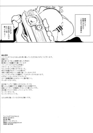 Symphogear no Ero Hon 3 Page #18