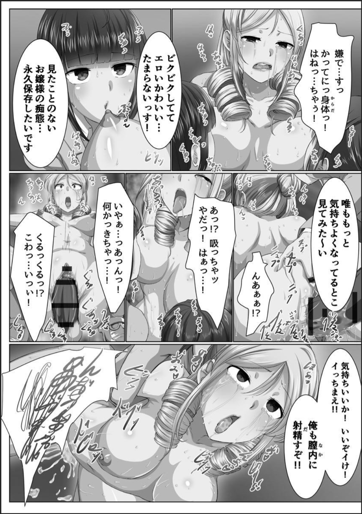 Kanzen Sennou Kuukan Midarechiru Takane no Hana