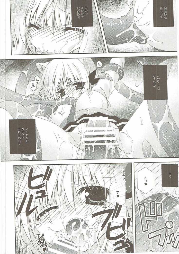 Kudamimi na Nyanko