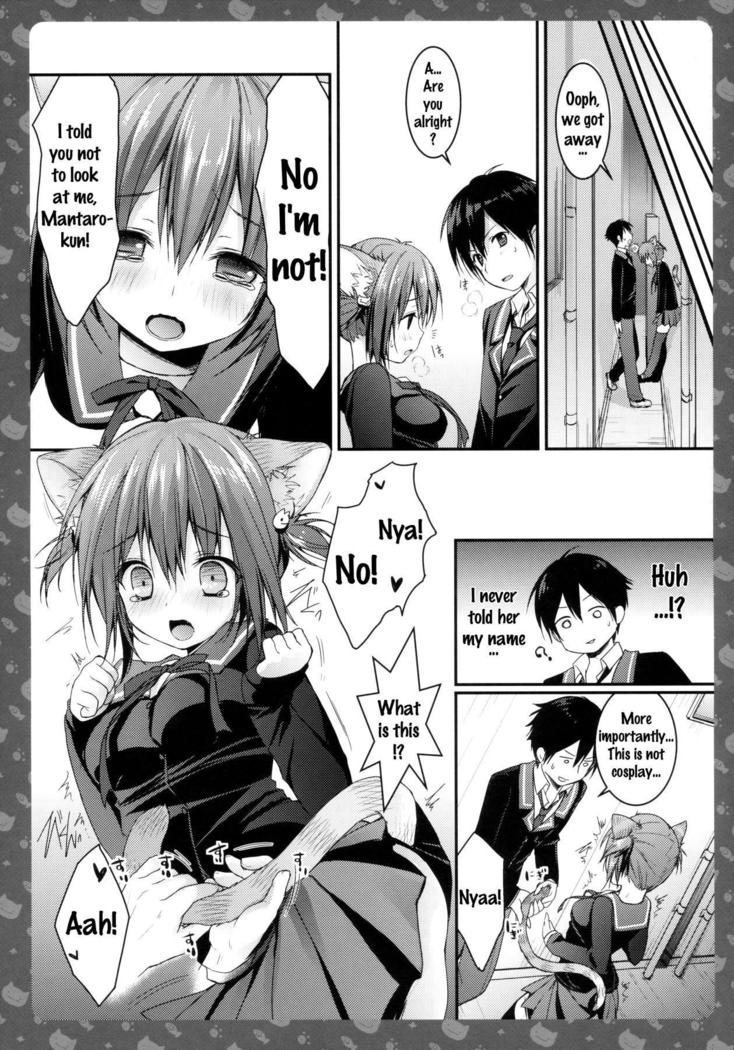 Nyancology -Kaettekita Nekota-san no Himitsu- | Nyancology -Homecoming Nekota-san's Secret-