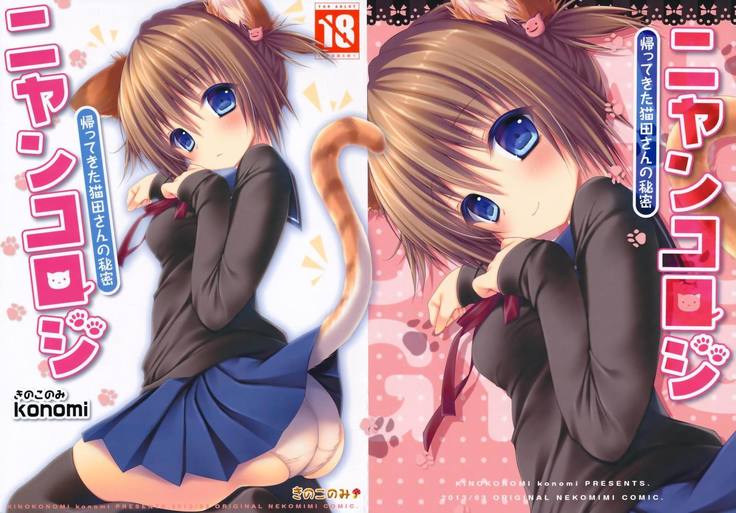 Nyancology -Kaettekita Nekota-san no Himitsu- | Nyancology -Homecoming Nekota-san's Secret-