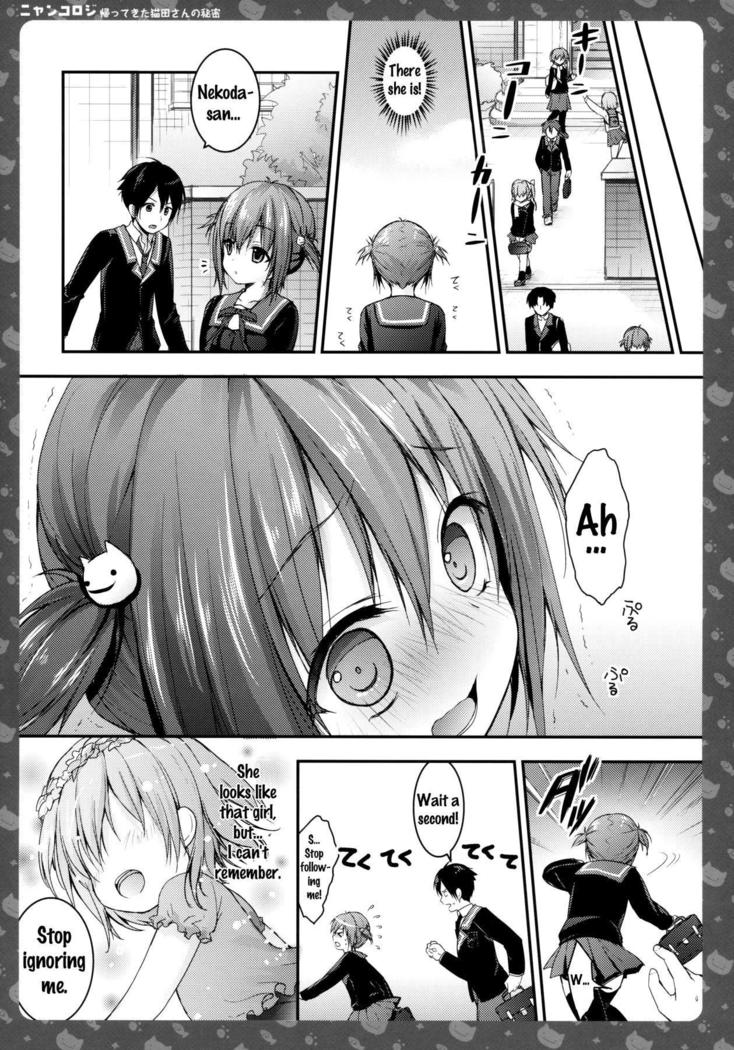 Nyancology -Kaettekita Nekota-san no Himitsu- | Nyancology -Homecoming Nekota-san's Secret-