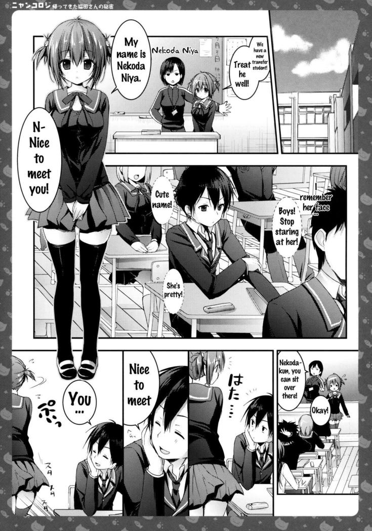 Nyancology -Kaettekita Nekota-san no Himitsu- | Nyancology -Homecoming Nekota-san's Secret-