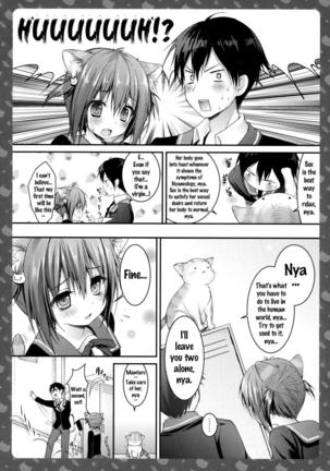 Nyancology -Kaettekita Nekota-san no Himitsu- | Nyancology -Homecoming Nekota-san's Secret- Page #15