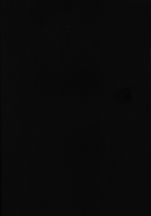 Image 10404316