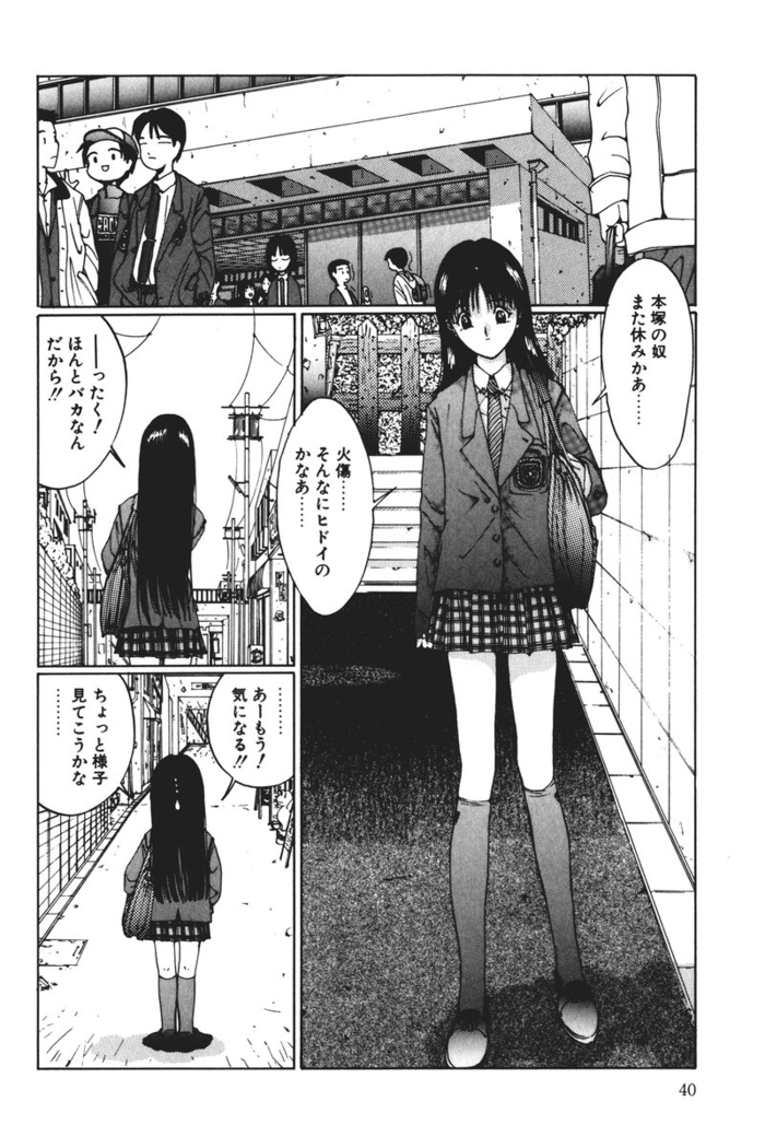 MOMO no Tane