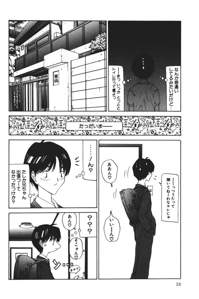 MOMO no Tane