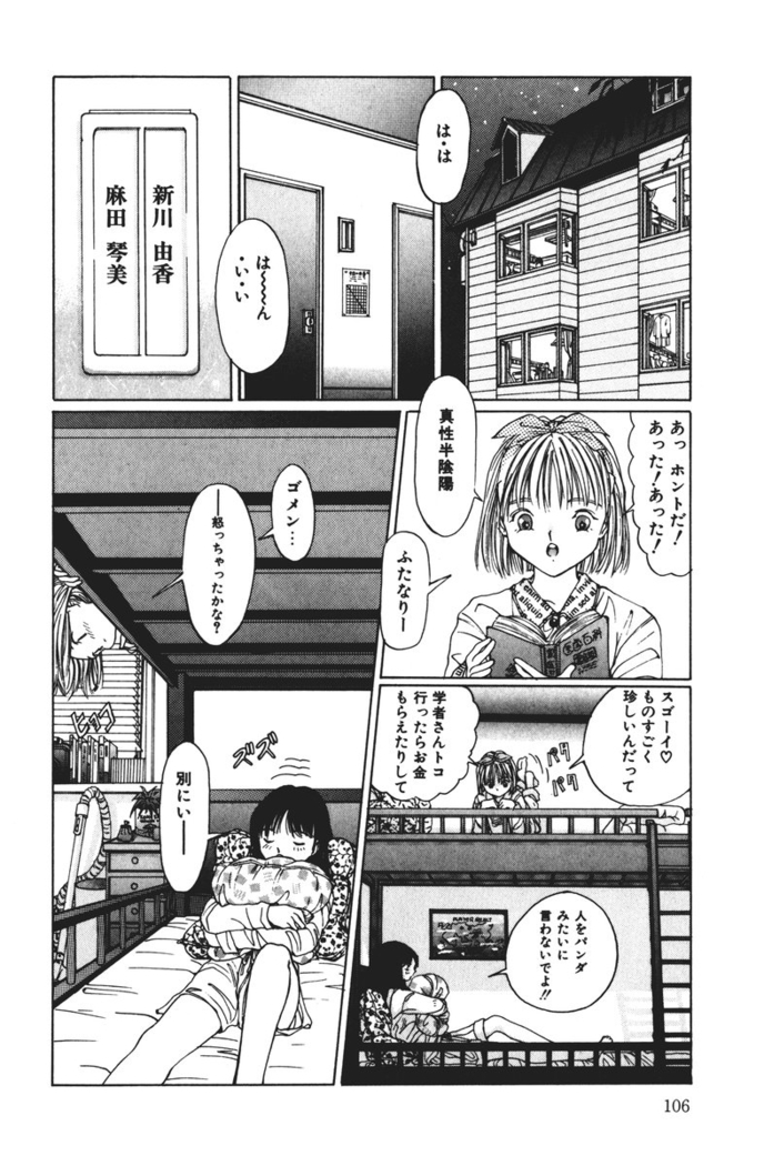 MOMO no Tane