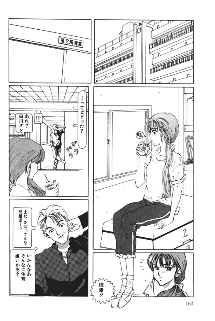 MOMO no Tane