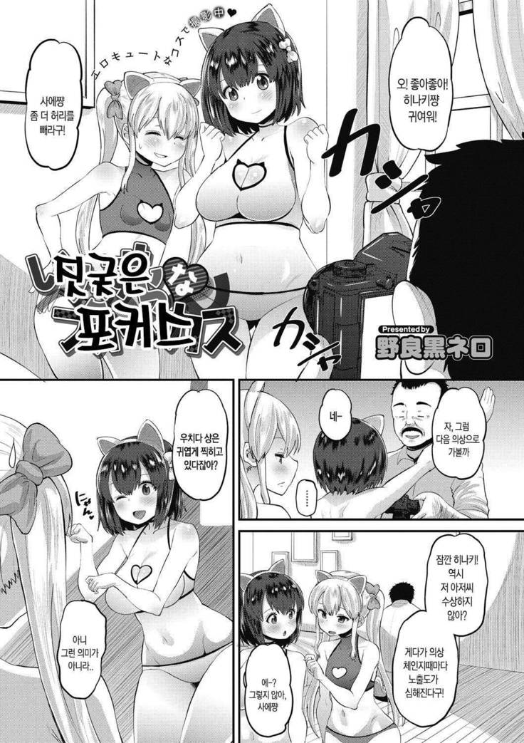 Itazura na Focus | 짓궂은 포커스