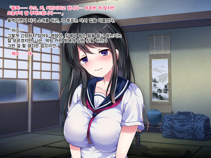 Toaru Mura ni Nokoru Fuushuu de Muriyari Yome ga Sarete Gakusei to, Nakadashi Sex Zanmai.