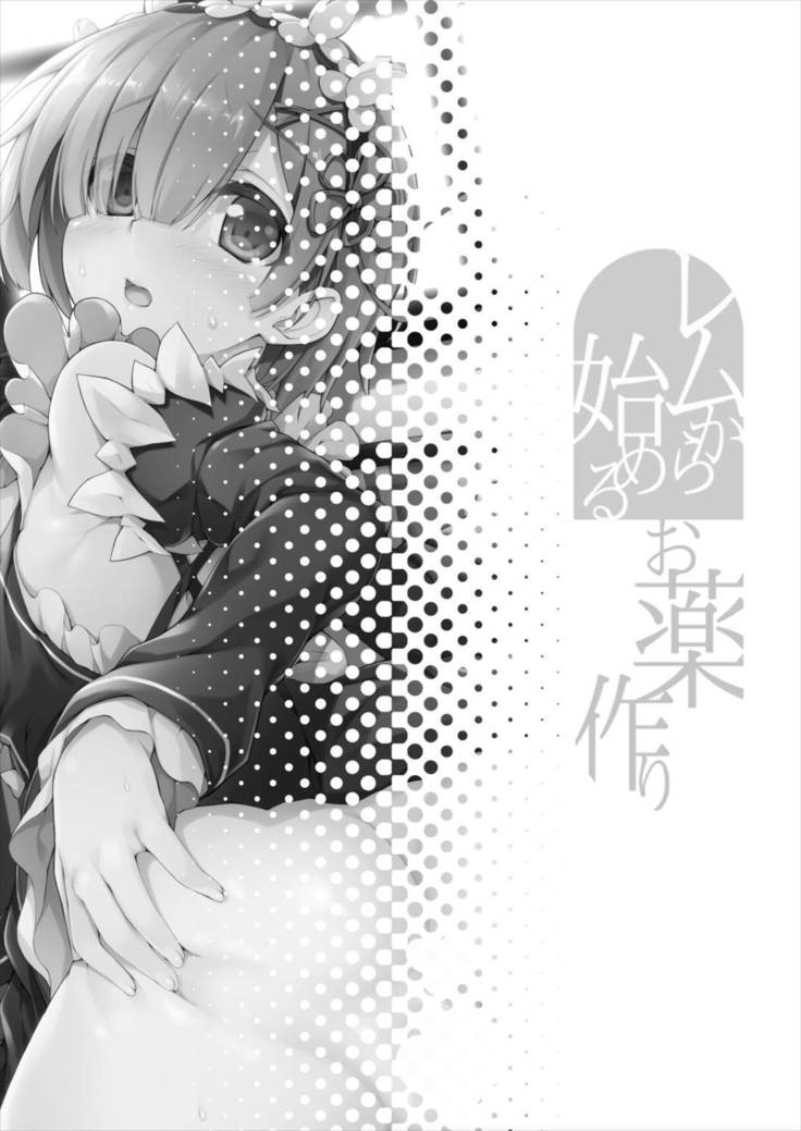 Rem kara Hajimeru Okusurizukuri