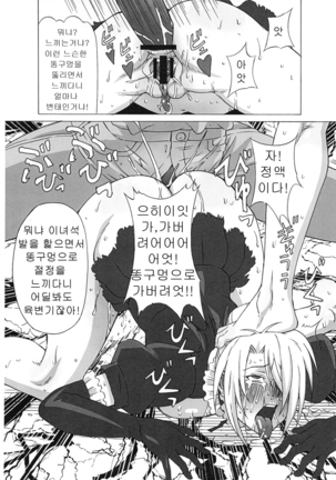 Hilda-san ni Hidoi Koto wo Shitemita Page #44
