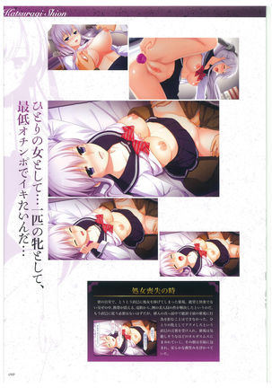 Seishojyo Visual Complete Book - Page 14