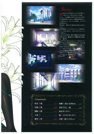 Seishojyo Visual Complete Book