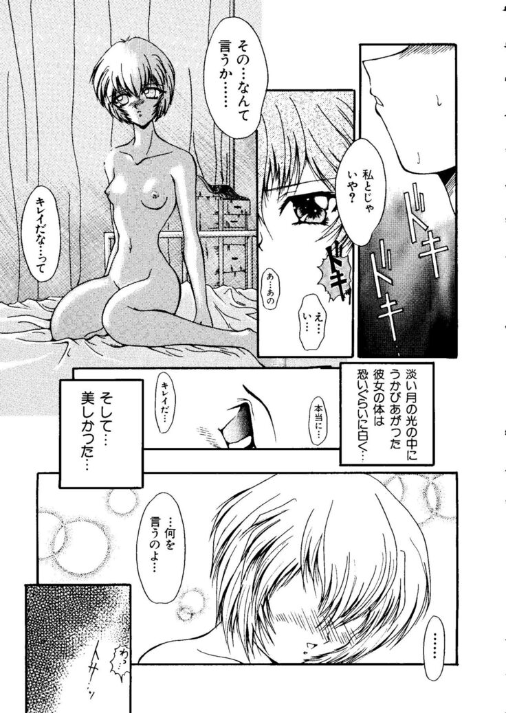 Last Children 1