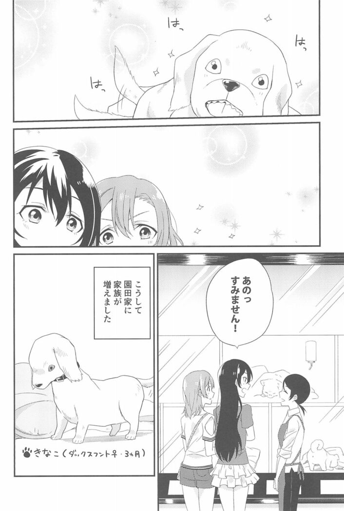 Super Osananajimi Lovers!