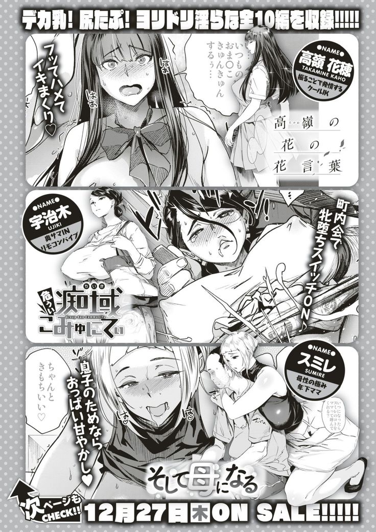 COMIC Shitsurakuten 2019-01