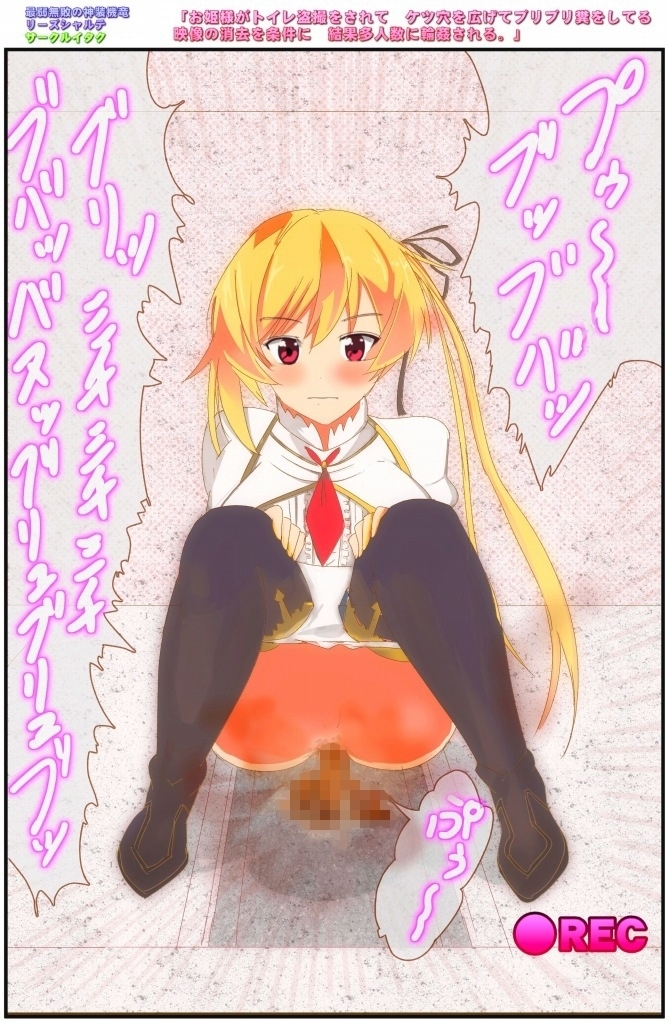 Ohimesama ga Toilet Tousatsu o sarete Ketsu Ana o Hirogete Buriburi Kuso o shiteru Eizou no Shoukyo o Jouken ni Kekka Taninzuu ni 〇 Kan sareru.