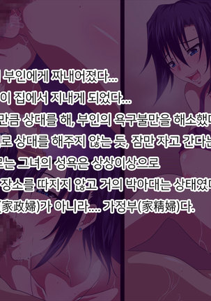 Kaseifu wa Ore!? | 가정부는, 나!? Page #40