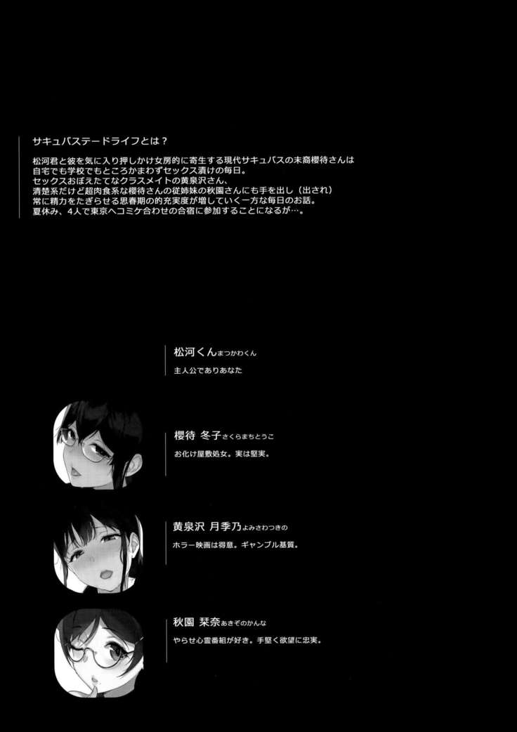 Succubus Stayed Life 8