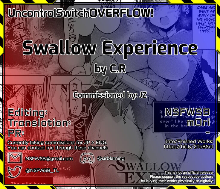 Swallow Experience