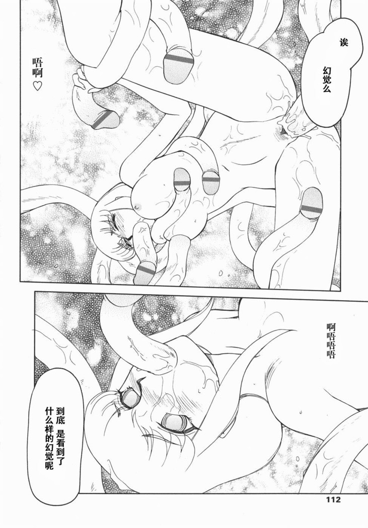 Kamen no Kishi Orleana Kouhen