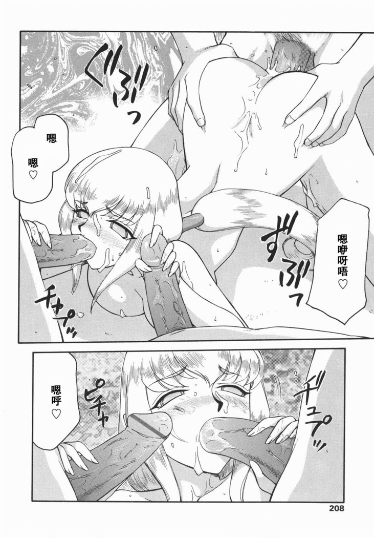 Kamen no Kishi Orleana Kouhen