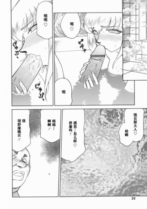 Kamen no Kishi Orleana Kouhen Page #23