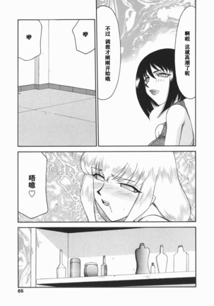 Kamen no Kishi Orleana Kouhen Page #66