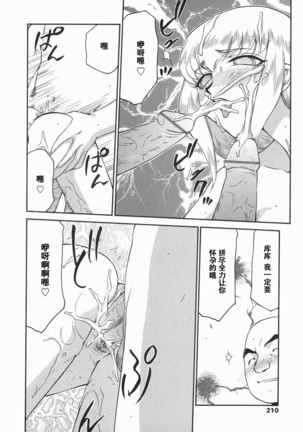 Kamen no Kishi Orleana Kouhen Page #211