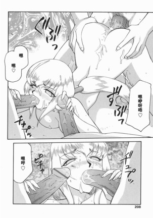 Kamen no Kishi Orleana Kouhen Page #209