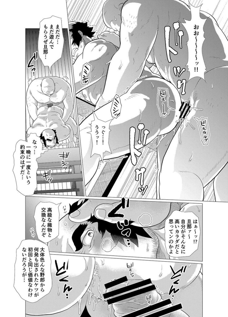 Tsuru Otto no Ongaeshi