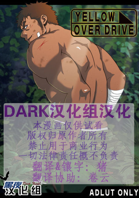 YELLOW OVER DRIVE