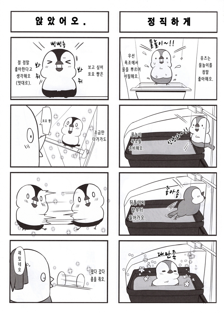 Koishiki | 사랑공식 ​