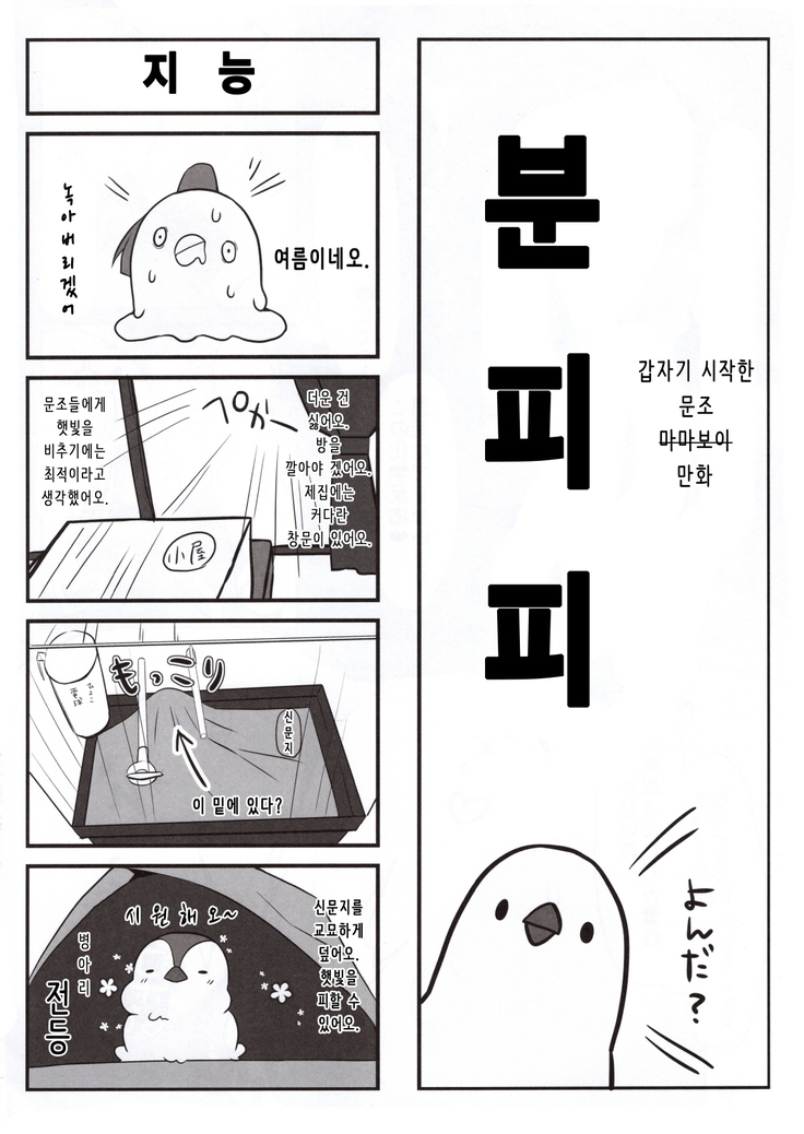 Koishiki | 사랑공식 ​