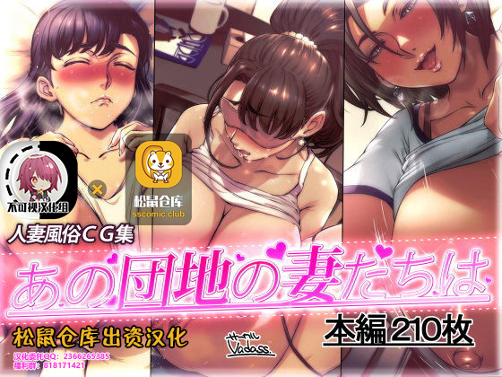 Ano Danchi no Tsuma-tachi wa【不可视汉化】