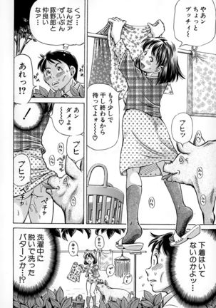 Koigataki wa Buta Yarou Page #64
