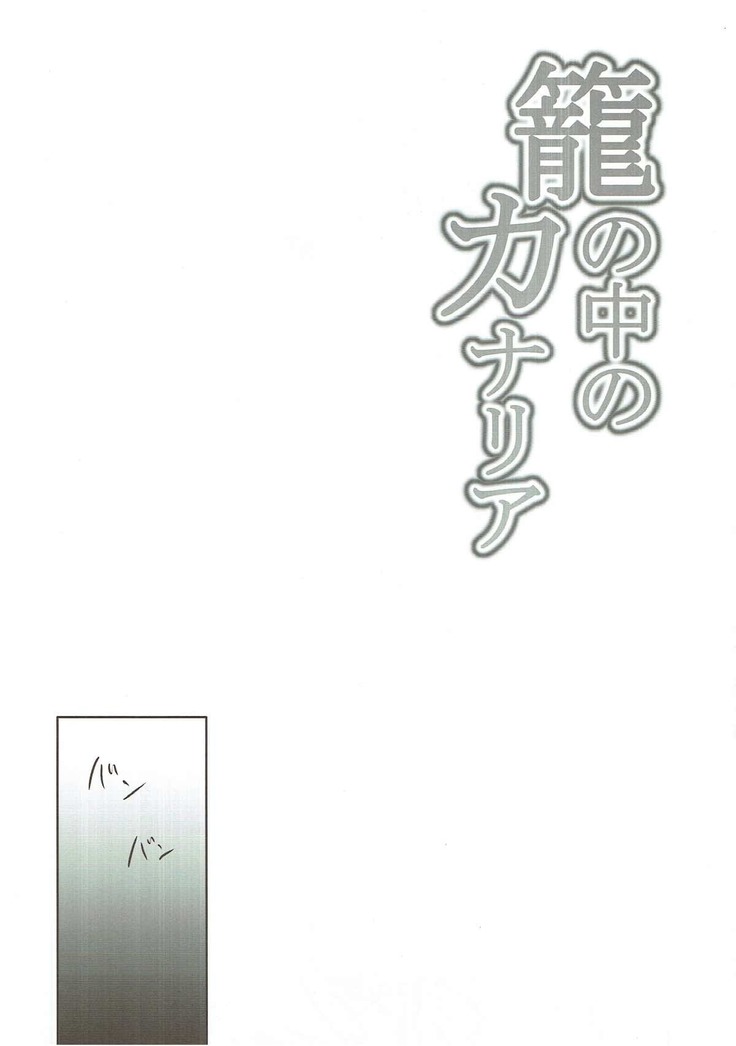 籠の中のカナリア