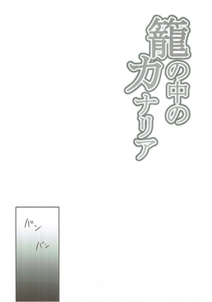 籠の中のカナリア Page #21