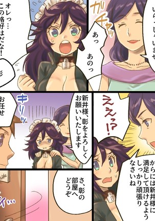 TS Mesu Dorei Ore ga Omae ni Makeru Nante Arienee Page #17