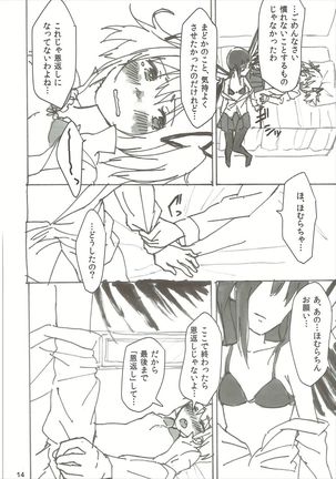 Homu no Ongaeshi Page #15