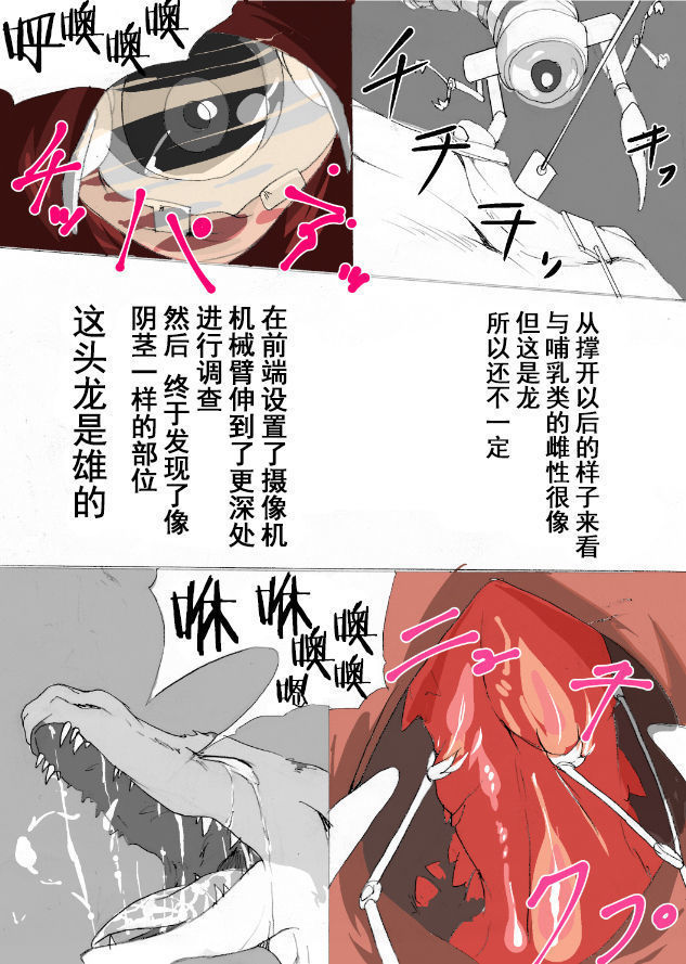 竜族の捕獲に成功